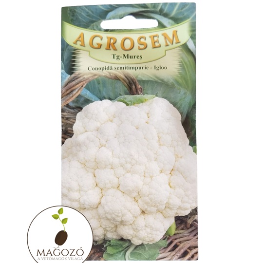 karfiol vetőmag igloo agrosem magozó