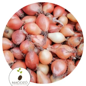 Dughagyma őszi- makói vöröshagyma, 250 g