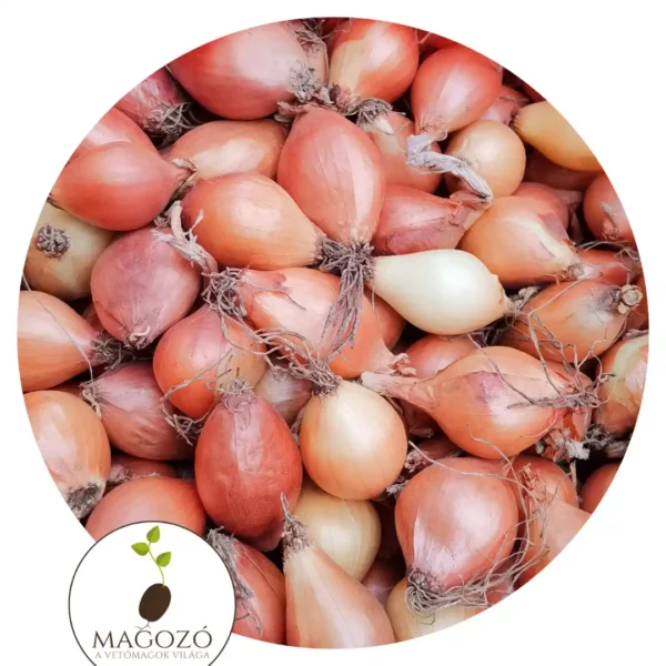 Dughagyma őszi- makói vöröshagyma, 250 g