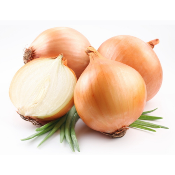 Dughagyma tavaszi- makói vöröshagyma, 300 g - Image 2