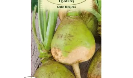 Karórépa Rutabaga vetőmag- Agrosem Magozó