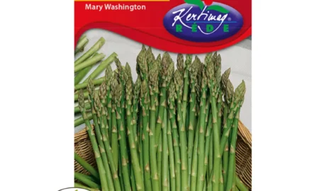 Spárga vetőmag- Mary Washington, RÉDEI Kertimag Magozó
