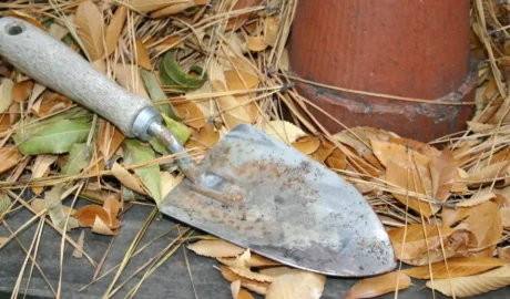 Októberben ültethető zöldségek – így lesz bő termésed tavasszal