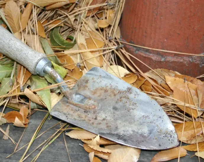 Októberben ültethető zöldségek – így lesz bő termésed tavasszal