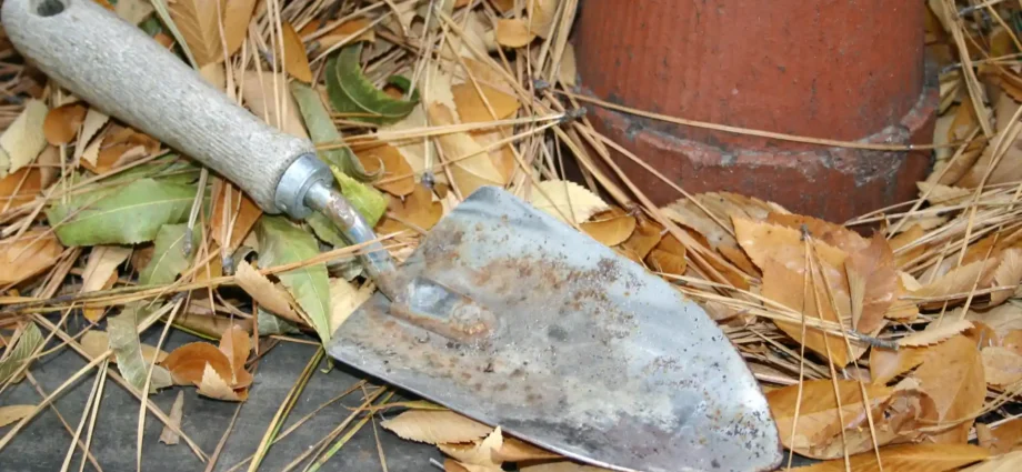 Októberben ültethető zöldségek – így lesz bő termésed tavasszal