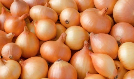 Őszi dughagyma így lesz belőle zamatos tavaszi zöldhagyma