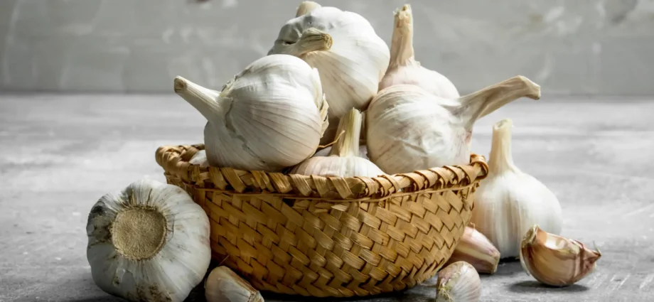 Őszi fokhagyma termesztése- ültetéstől a betakarításig