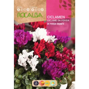 Szobaciklámen_ perzsa ciklámen vetőmag, teltvirágú színkeverék, 0,1 g – Rocalba
