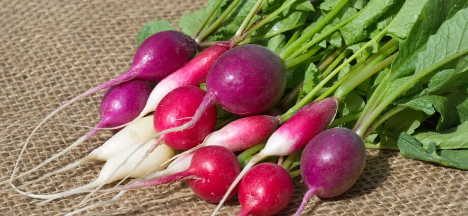 Hónapos, nyári, őszi, téli, sör, vaj _Retek kalauz, hogy egész évben ropogjon