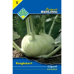Karalábé vetőmag, Gigant, 1,5 g – Budapesti Kertimag