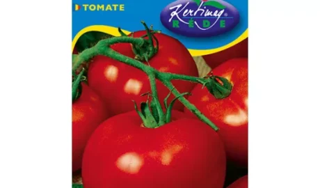 Paradicsom vetőmag, Ace 55, 0,5 g – Rédei Kertimag