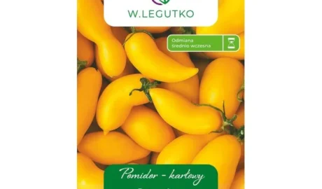 Paradicsom vetőmag, Banana Legs _banán lábak_sárga hosszúkás, 0,5 g – W.Legutko